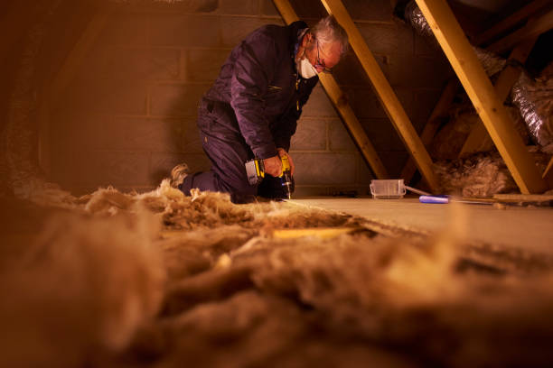 Best Insulation Maintenance and Repair in Brighton, TN